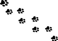 Paws Paws